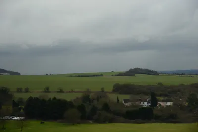 DSC_1246 (Large).JPG